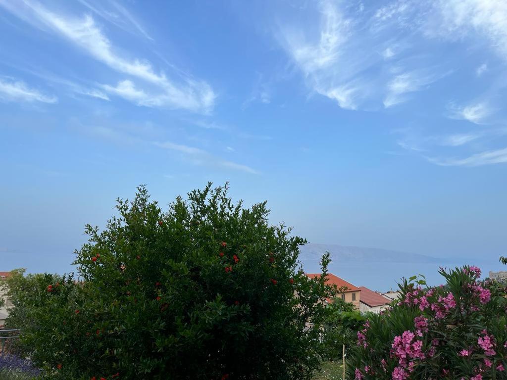 Apartment Verda Senj  Exterior foto